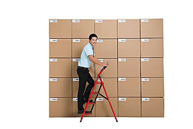 《冰汽时代2》|《执政官101》中国特别篇 9月21日上线